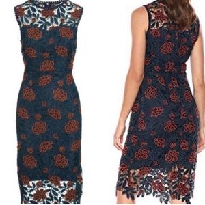 🎁🥂NWT Cupcakes & Cashmere Blue/Brown Midi Dress- Size US 0/ Euro 30 X-small